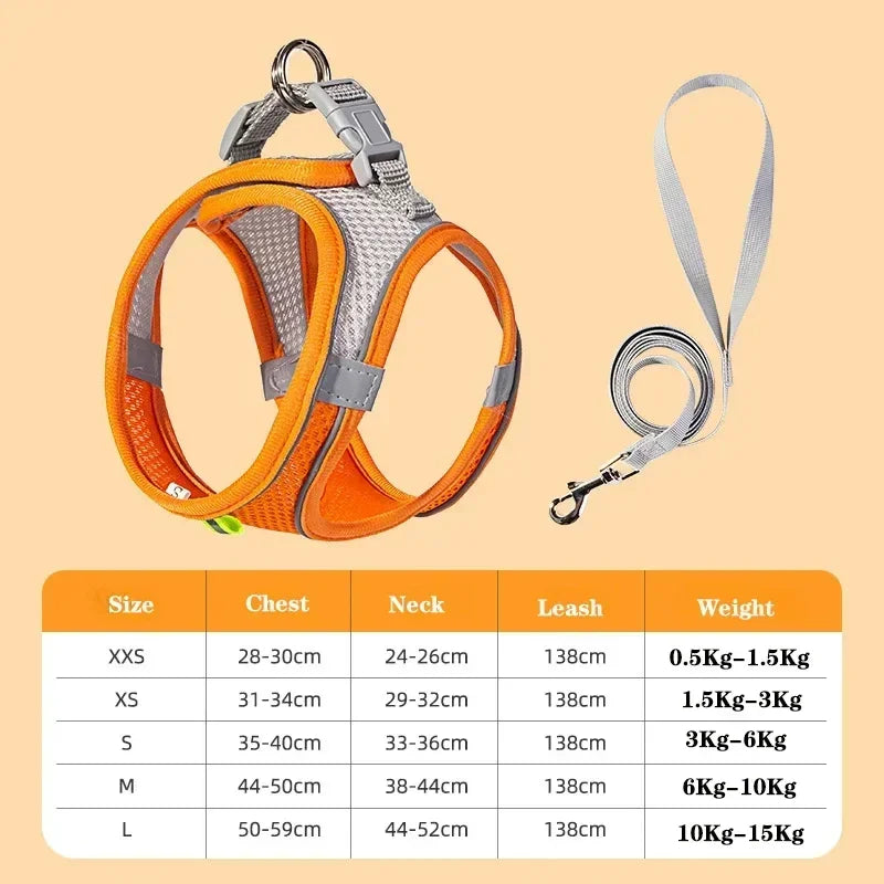 Dog Harness and Leash Set: Adjustable No-Choke Vest for Small Dogs & Cats