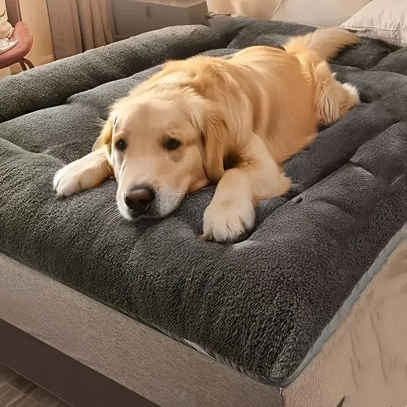 The Cozy Orthopedic Memory Foam Sofa Bed