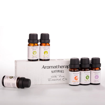 Aromatherapy Essential Oil Set Lavender - PULSE MART