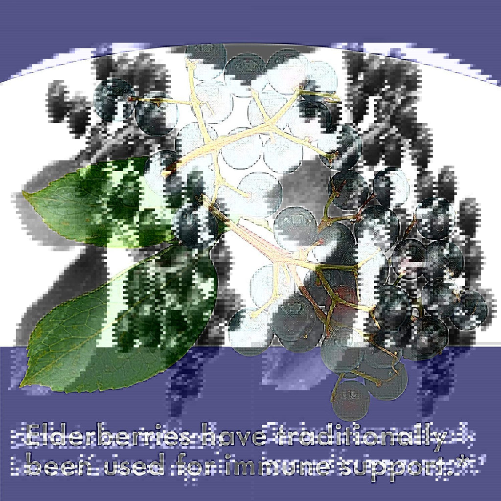 Elderberry Gummies - PULSE MART