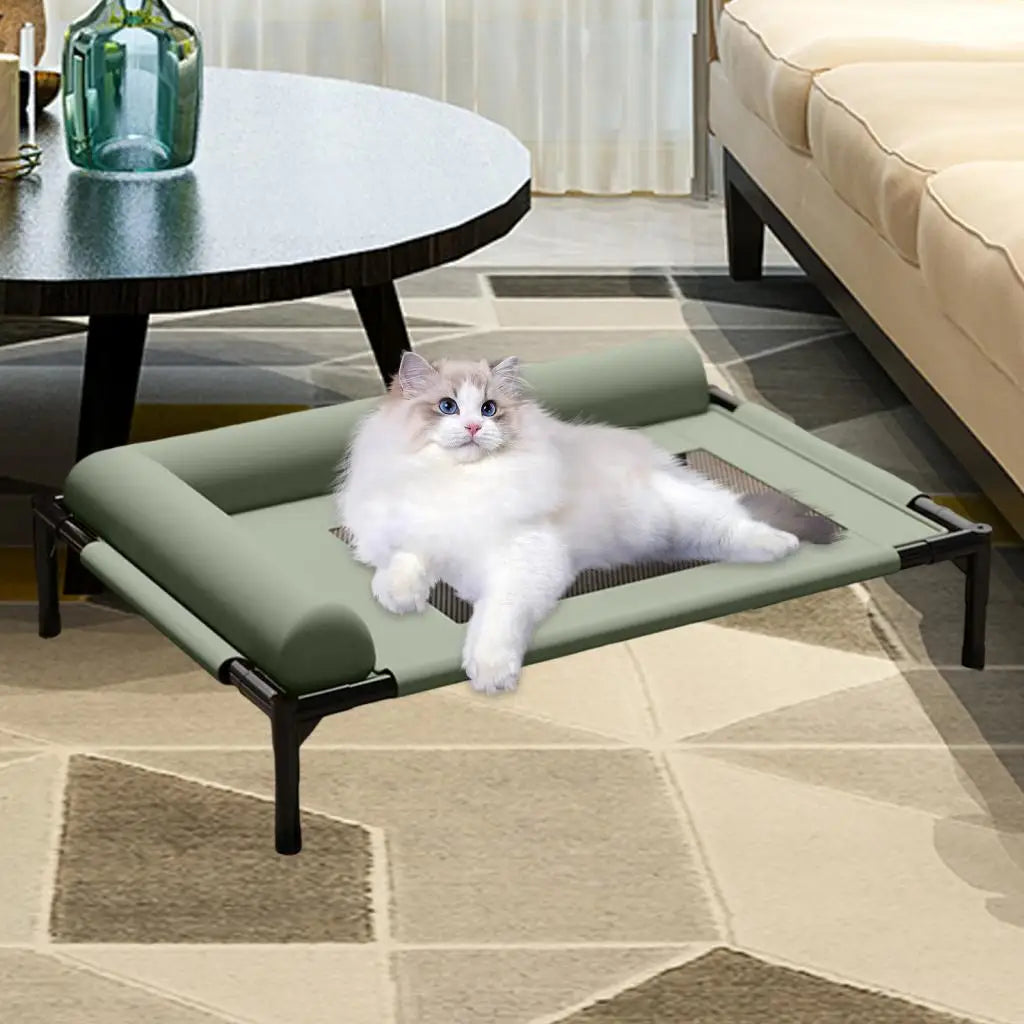 Elevated Pet Bed with Pillow – Durable & Portable Cat and Small Dog Bed
