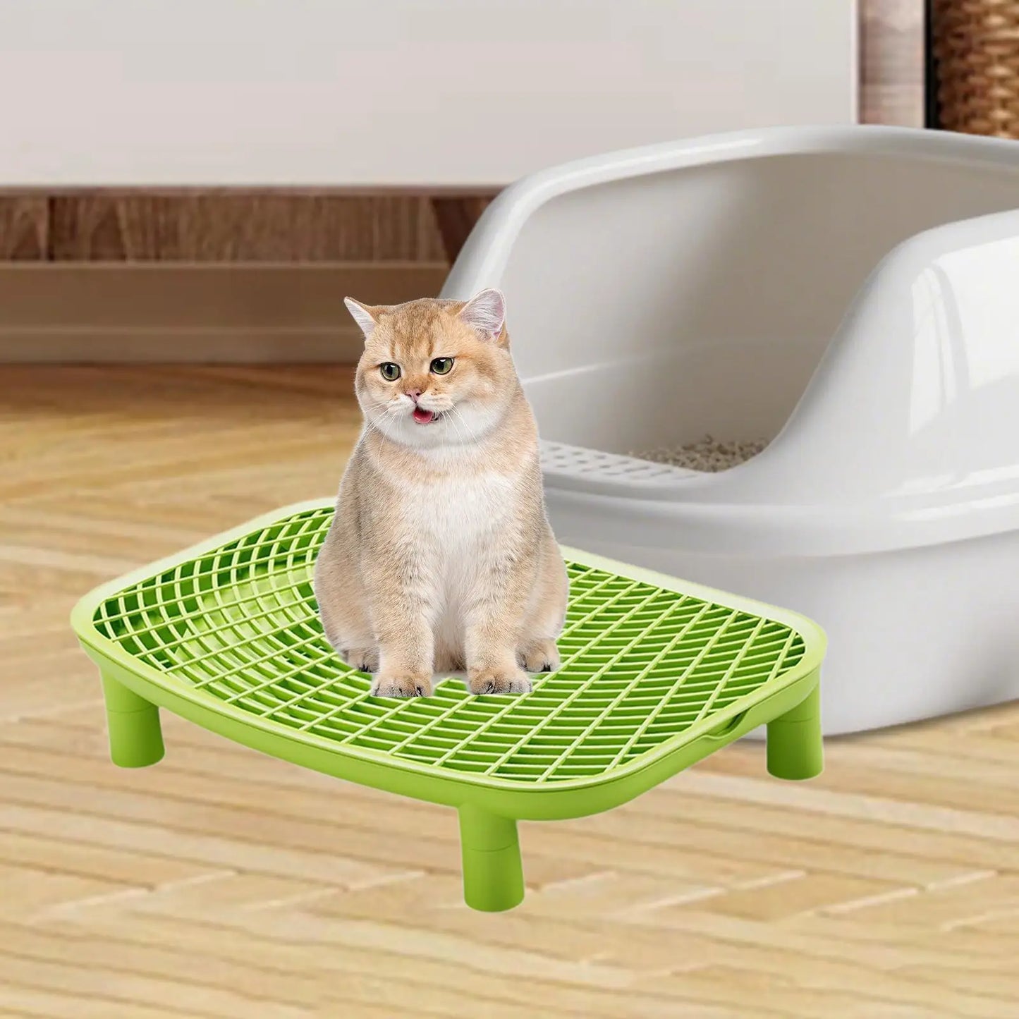 Cat Litter Ramp – Plastic Litter Box Step with Anti-Tracking Footboard for Cats & Kittens