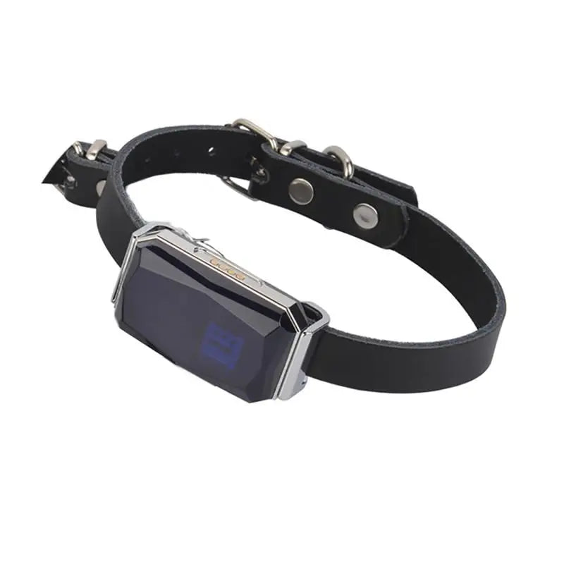 IP67 Waterproof GPS Pet Tracker – WiFi Smart Collar Locator with LED Light for Dogs & Cats