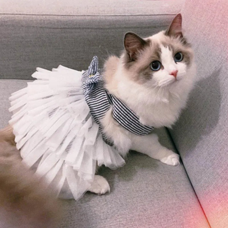 Striped Cat Clothes – Soft Spring & Summer Pet Shirt for Cats, Kittens & Small Dogs