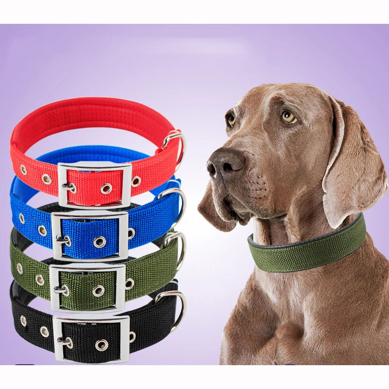 Solid Nylon Dog Collar: Heavy-Duty Adjustable Neckband for All Breeds