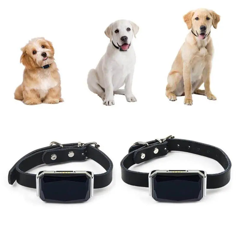 IP67 Waterproof GPS Pet Tracker – WiFi Smart Collar Locator with LED Light for Dogs & Cats