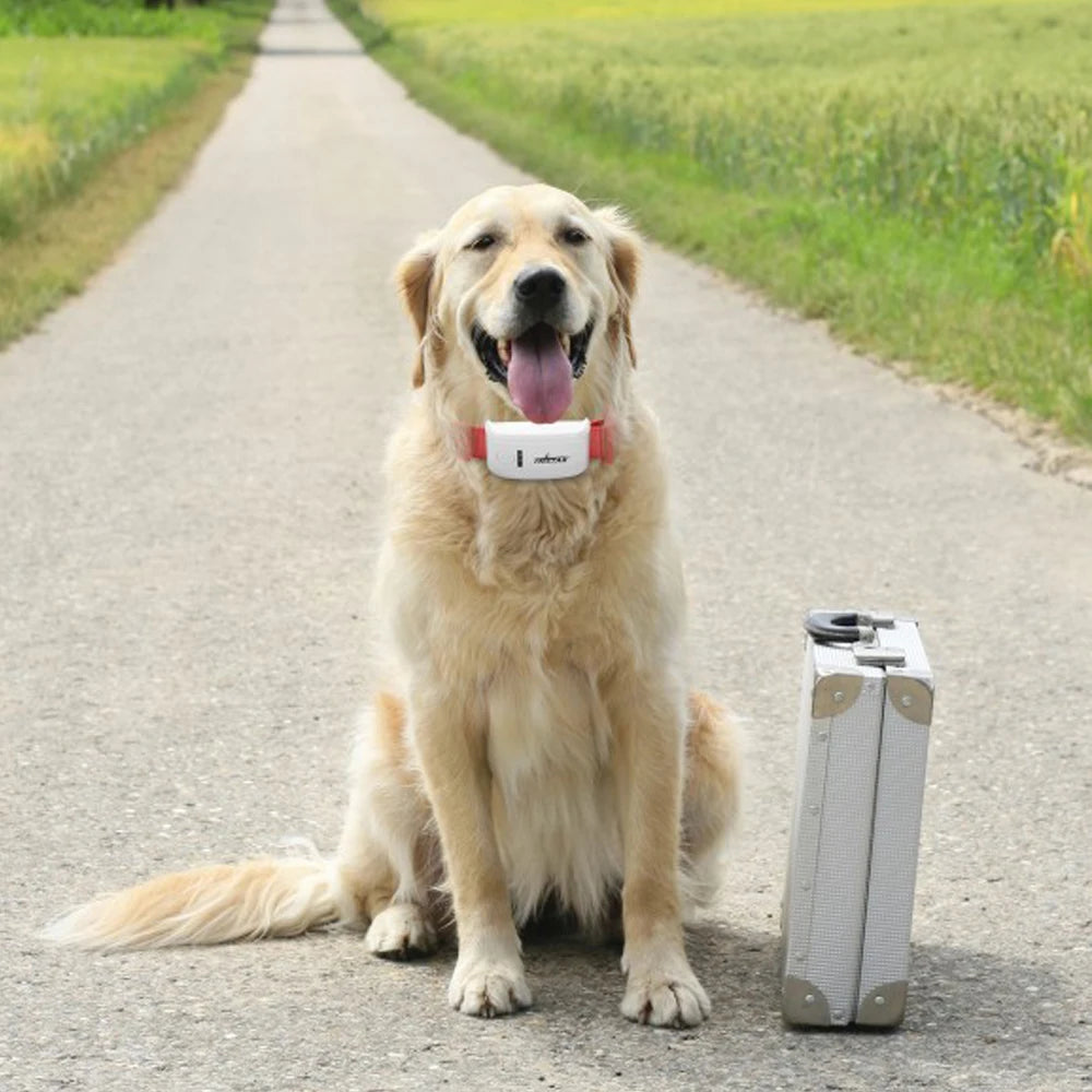 TK909 2G GSM GPS Pet Tracker – Waterproof IP67 Dog & Cat GPS Locator with Free App