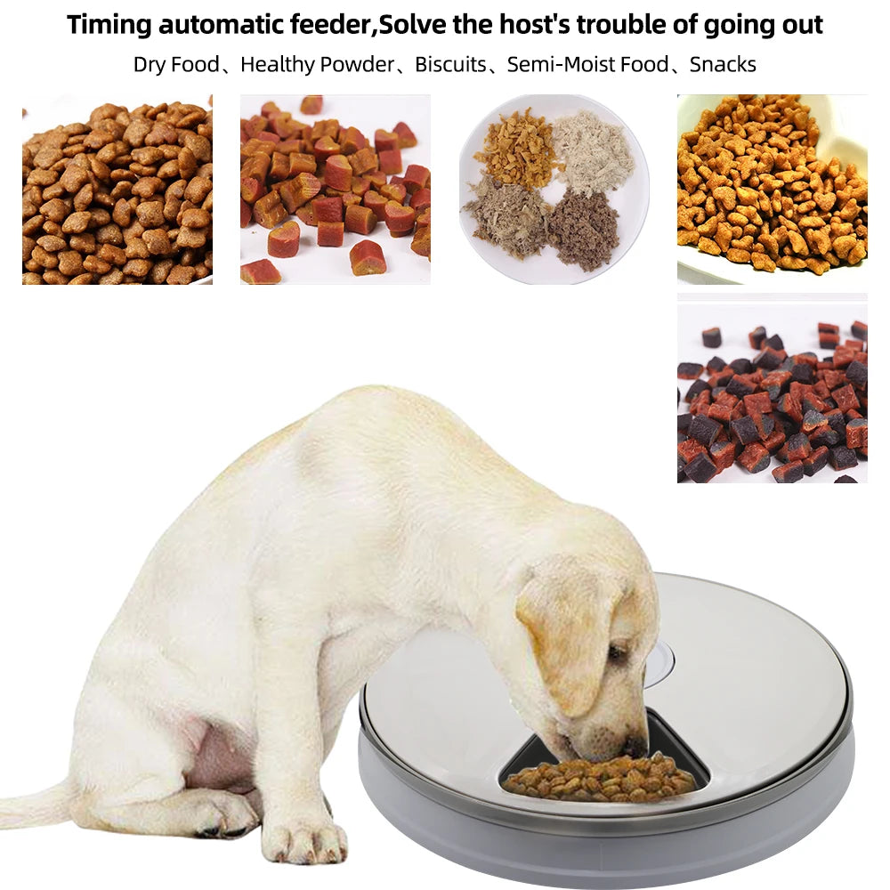 Automatic Pet Feeder Timer – 6 Meal Dry Food Dispenser Cats & Dogs