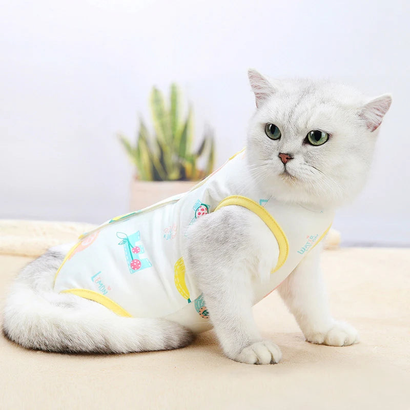 Cat Recovery Suit – Soft Post-Surgery Recovery Clothing for Cats
