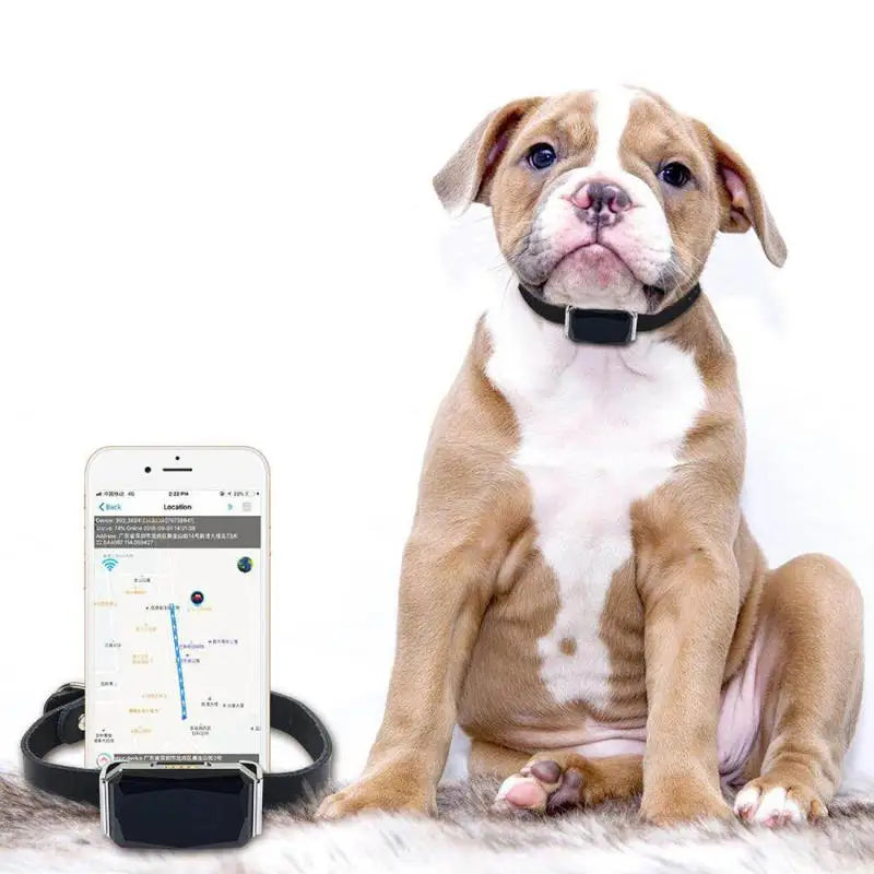 IP67 Waterproof GPS Pet Tracker – WiFi Smart Collar Locator with LED Light for Dogs & Cats