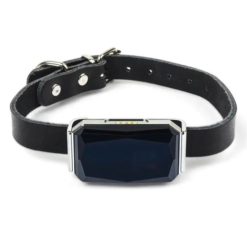 IP67 Waterproof GPS Pet Tracker – WiFi Smart Collar Locator with LED Light for Dogs & Cats