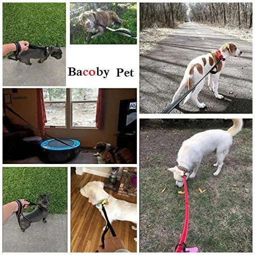 Double Handle Outdoor Travel Dog Leash - Heavy Duty Training Lead