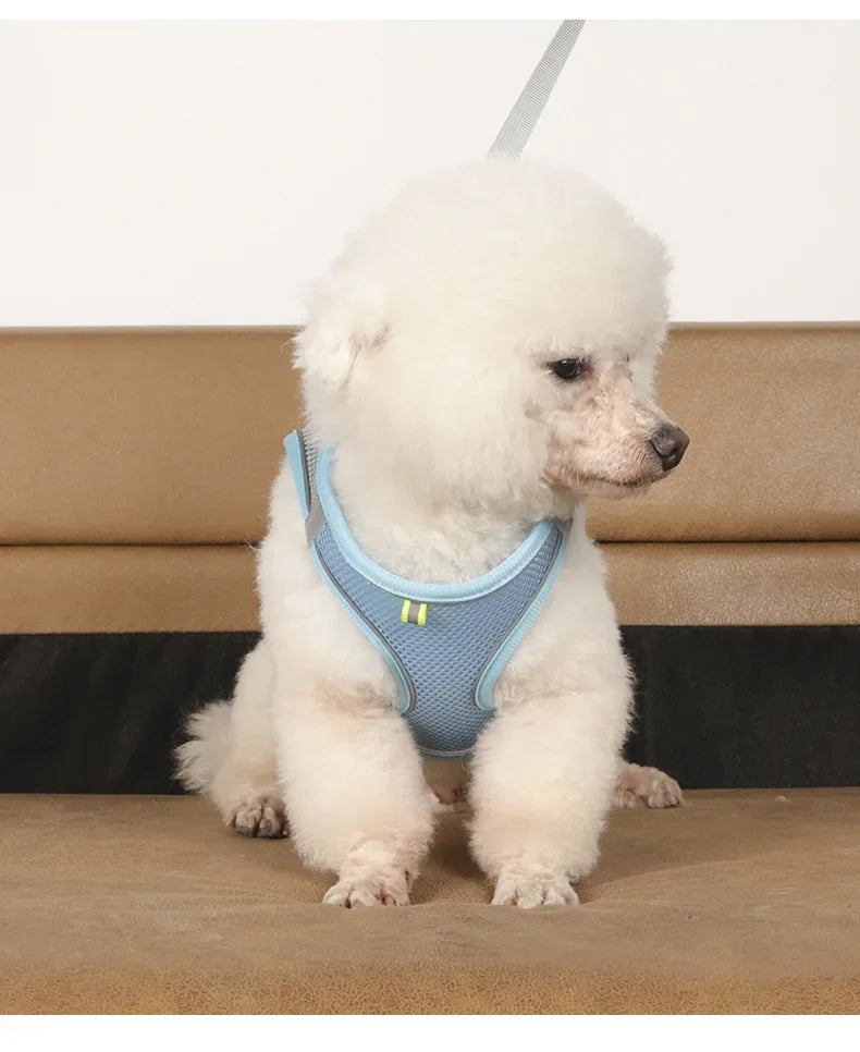 Dog Harness and Leash Set: Adjustable No-Choke Vest for Small Dogs & Cats