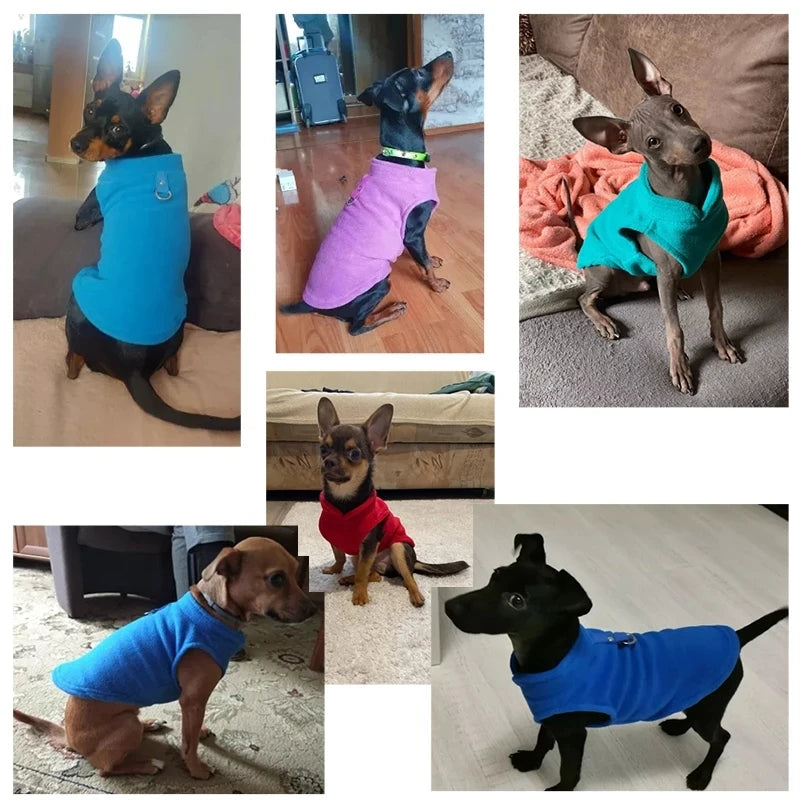Winter Fleece Dog Jacket with Harness D-Ring - Warm Step-In Vest for Small Dogs
