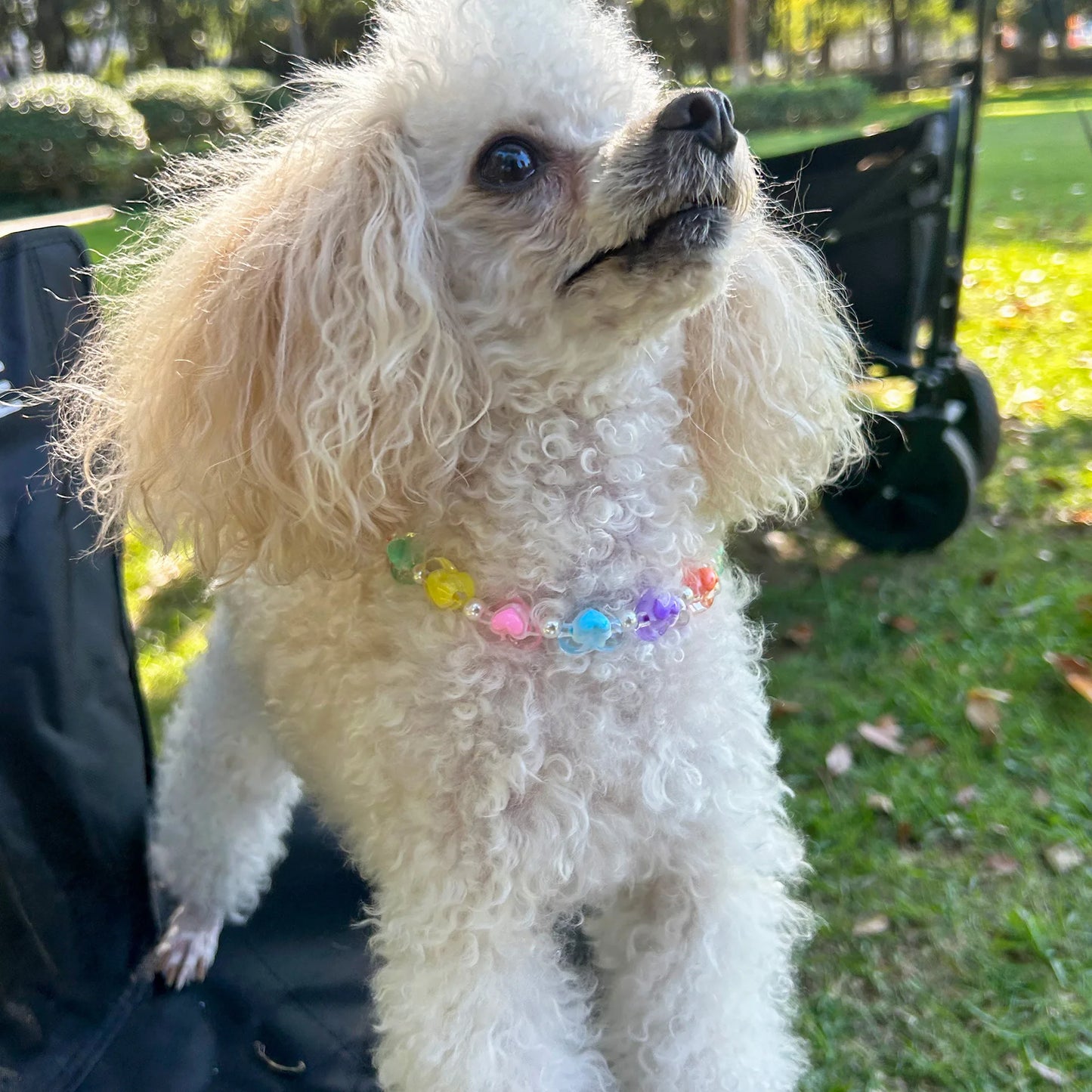 Cute Candy-Colored Pet Collar: Pearl Necklace with Flower Beads & Alloy Chain