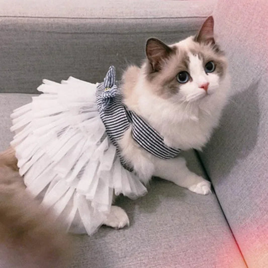 Striped Cat Clothes – Soft Spring & Summer Pet Shirt for Cats, Kittens & Small Dogs