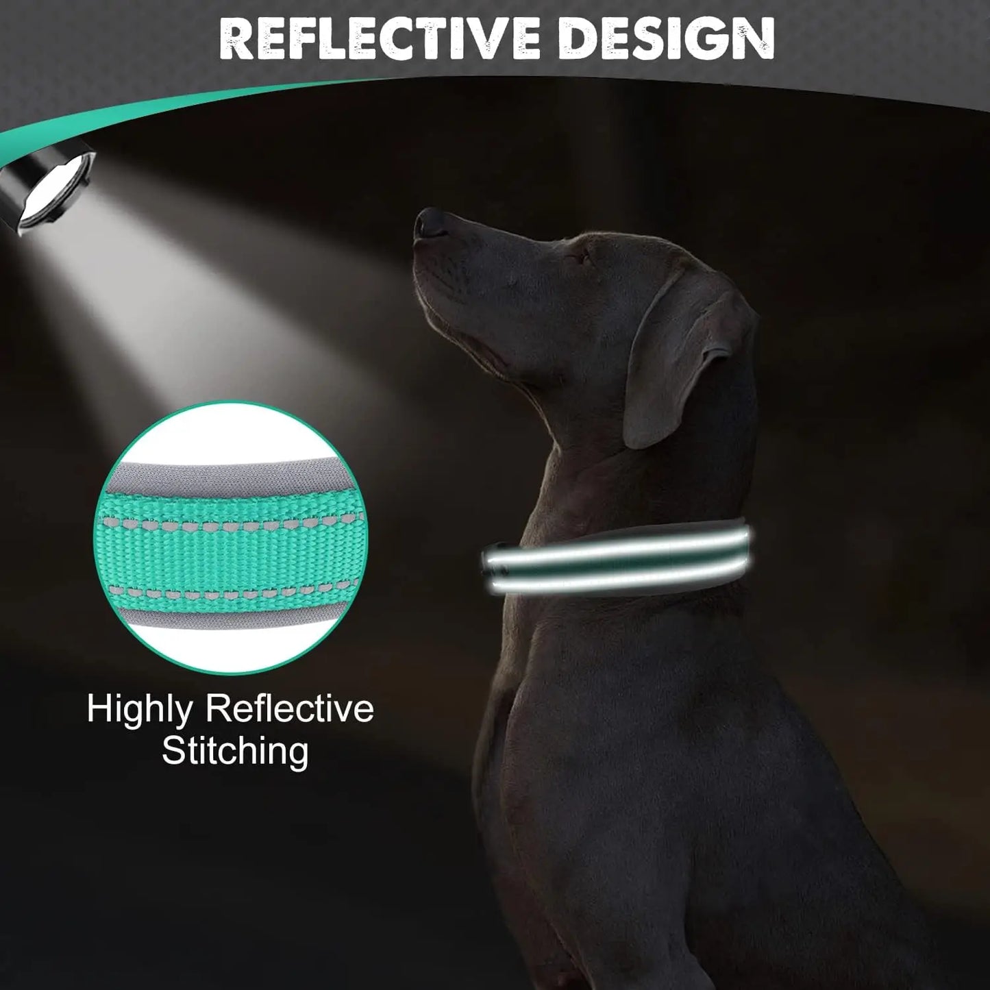 Reflective Padded Dog Collar - Heavy Duty Nylon & Neoprene