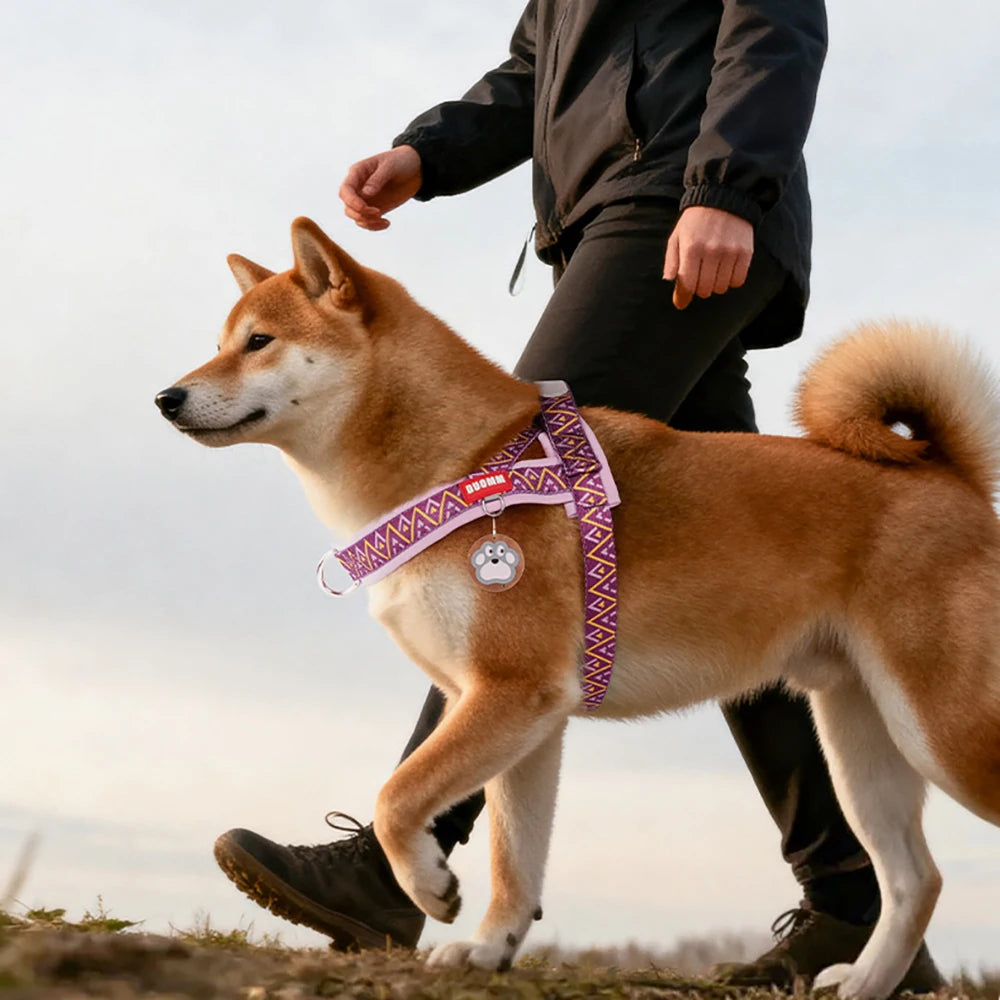 Fashion Printed Dog Harness: Soft No-Pull Padded Saddle Vest