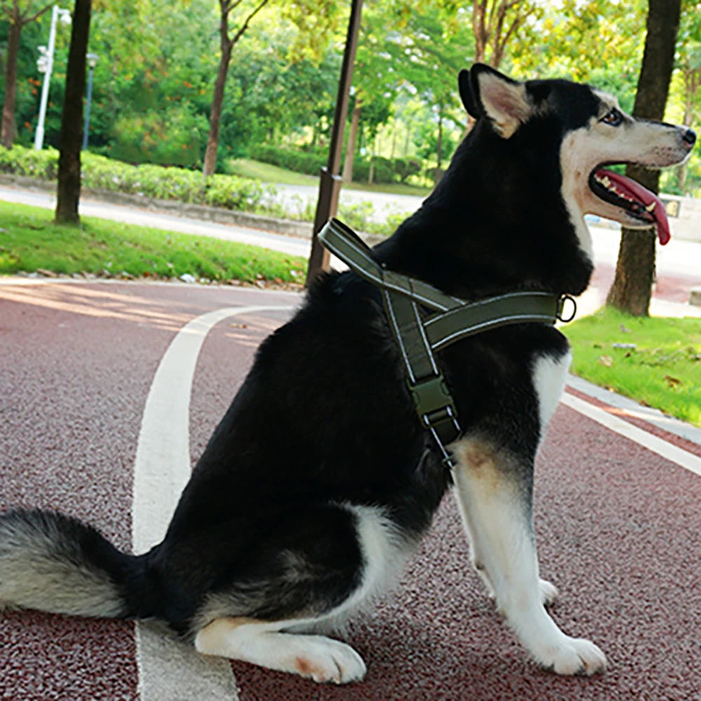 Tactical Anti-Pull Dog Harness: 1000D Nylon Vest with Handle