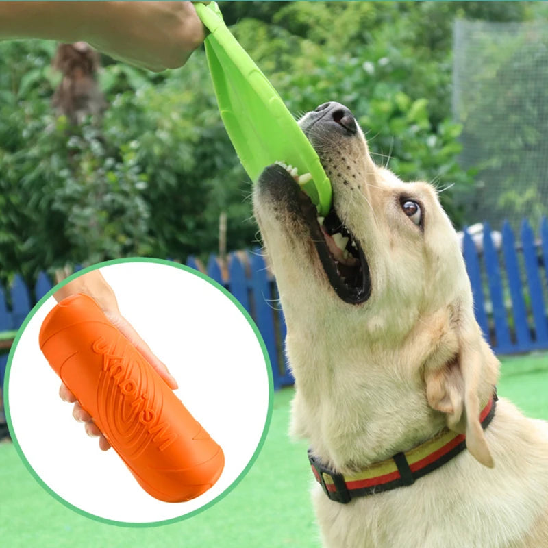 Silicone Flying Disc Dog Toy - Interactive Outdoor Training Frisbee
