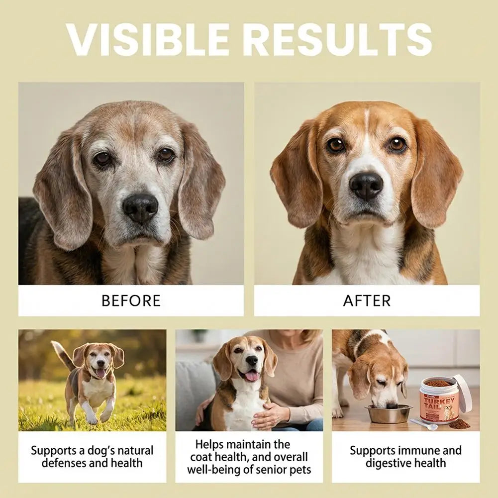 100g Dog Immune Support Powder – Daily Immunity Defense & Wellness Supplement