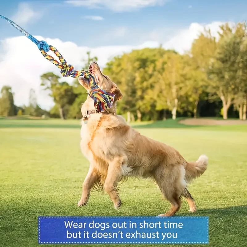 Interactive Dog Flirt Pole - Extendable Exercise Chasing & Chewing Wand