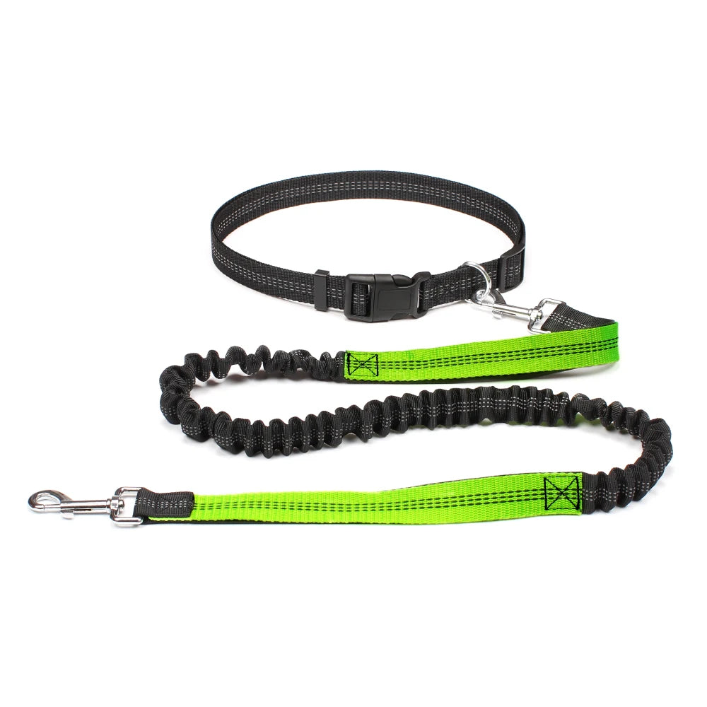 Hands-Free Dog Leash with Waist Belt - Adjustable Running & Jogging Lead