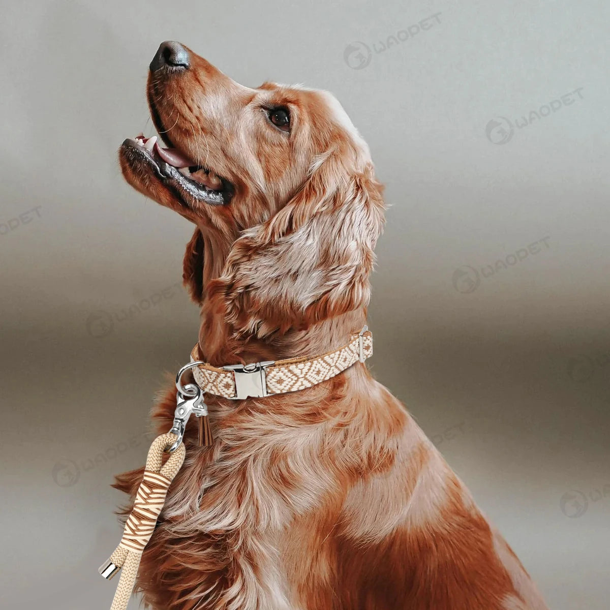 Bohemian Ethnic Style Pet Collar: Luxurious Adjustable Multi-Color Neckband