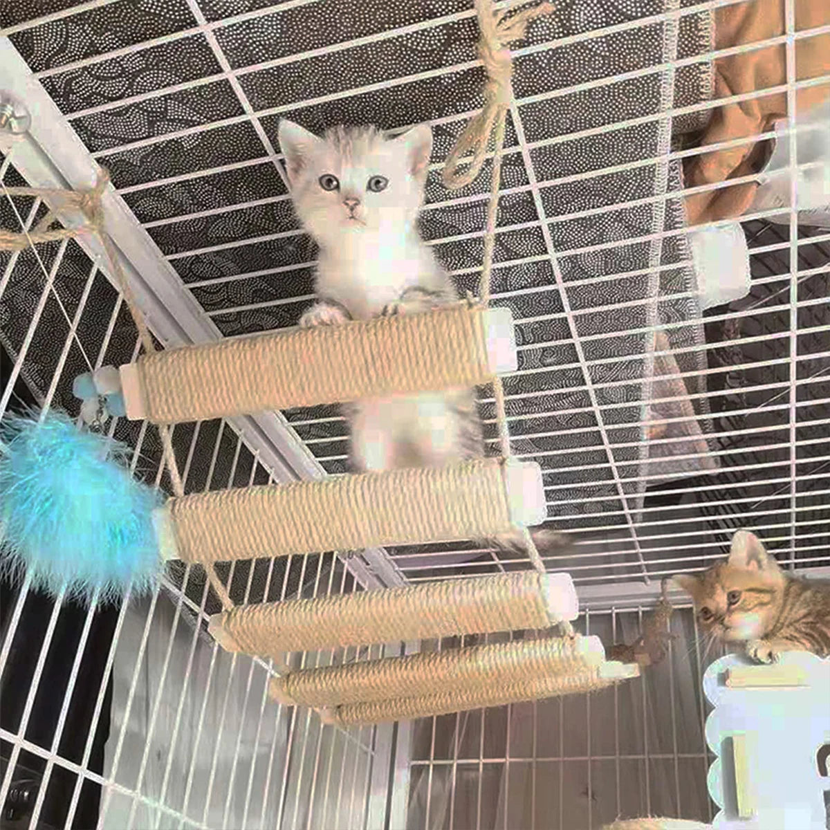 Wooden Cat Cage Climbing Frame - Sisal Rope Ladder & Tree Tower Bridge