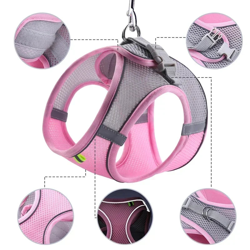 Dog Harness and Leash Set: Adjustable No-Choke Vest for Small Dogs & Cats