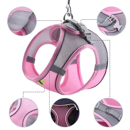 Dog Harness and Leash Set: Adjustable No-Choke Vest for Small Dogs & Cats