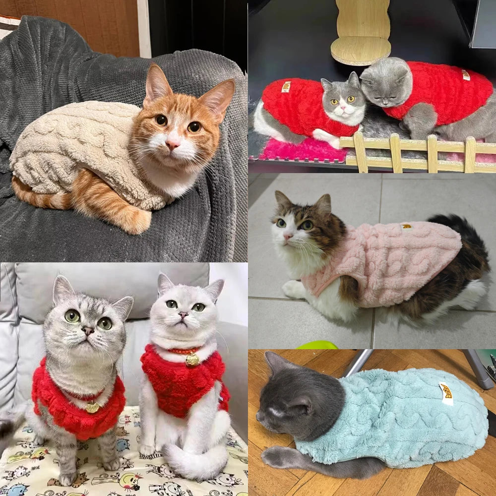 Cute Fleece Cat Sweater – Warm Autumn & Winter Pullover for Cats, Kittens & Small Dogs