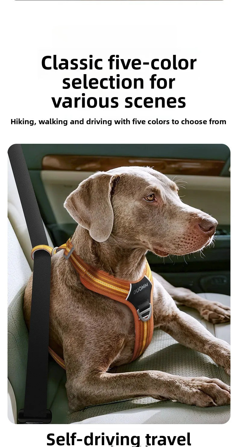 Car Safety Dog Harness: No-Pull, Reflective & Adjustable