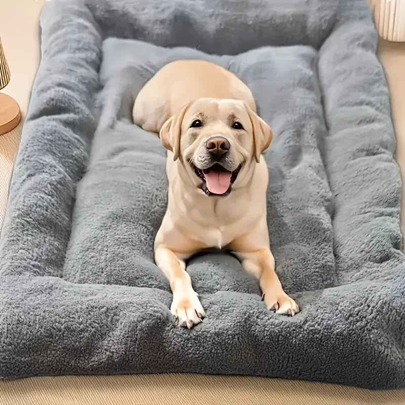 The Cozy Orthopedic Memory Foam Sofa Bed