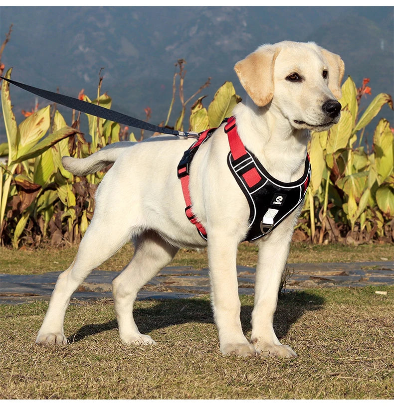 Heavy-Duty Oxford Dog Harness: Reflective Training Vest for Medium & Large Breeds