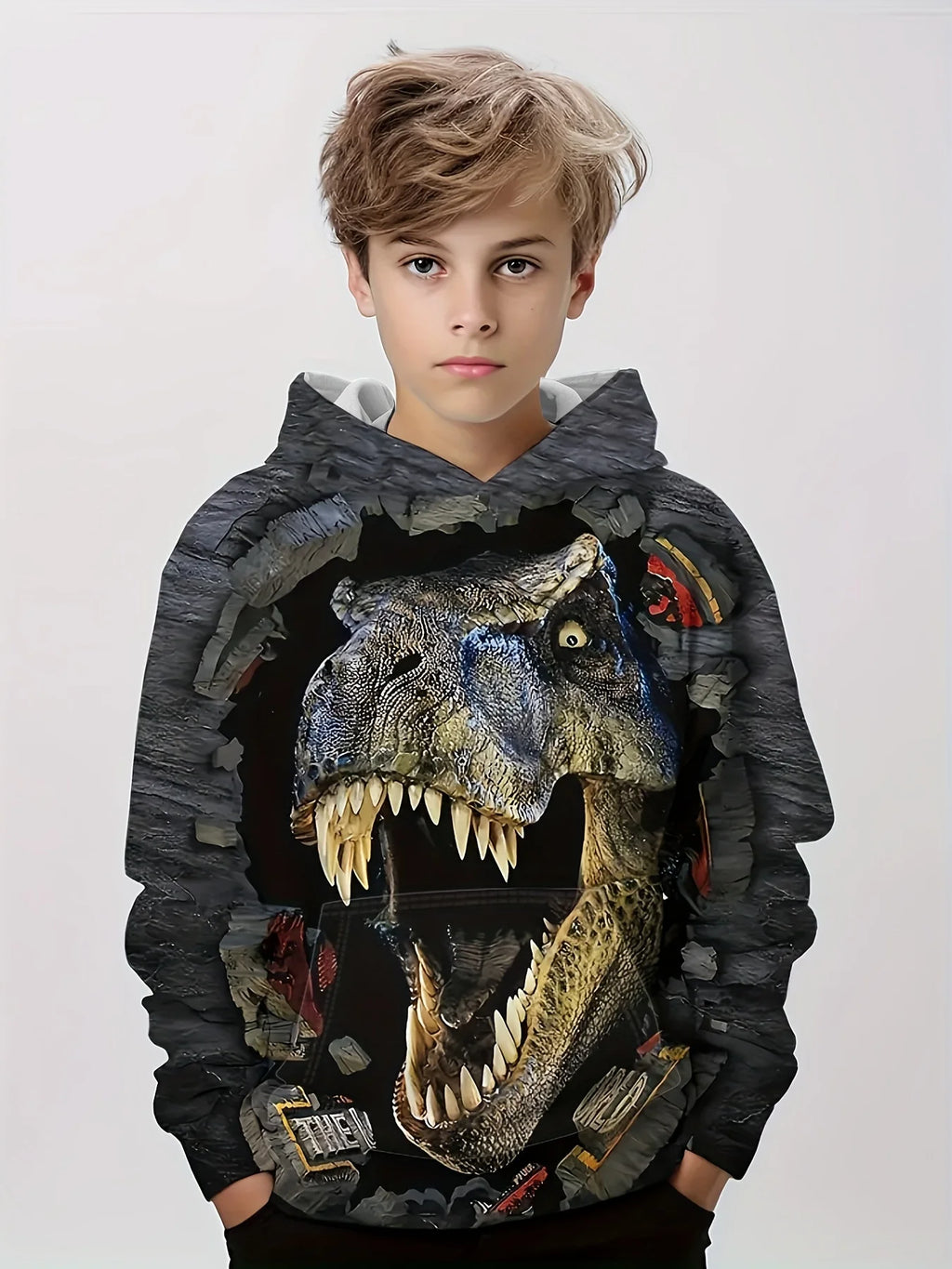Hoodies Animal Dinosaur Pattern 3D Print Sweatshirts Boys Girls Harajuku Hooded kids Sweatshirt
