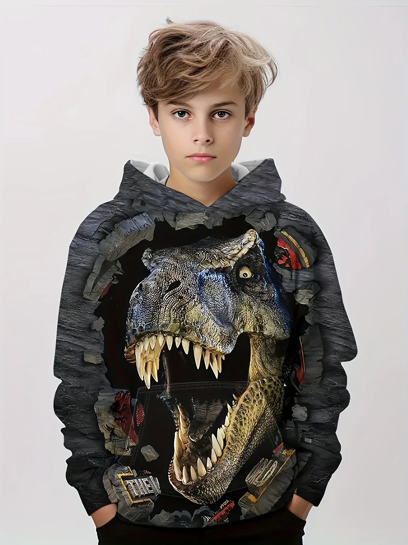 Hoodies Animal Dinosaur Pattern 3D Print Sweatshirts Boys Girls Harajuku Hooded kids Sweatshirt