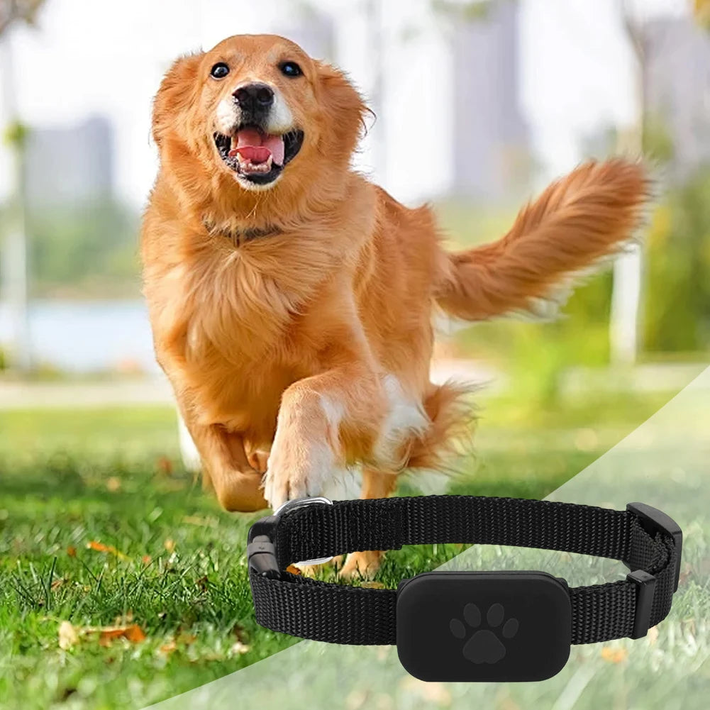 Waterproof Pet GPS Tracker – Real-Time Dog & Cat GPS Locator with Adjustable Collar