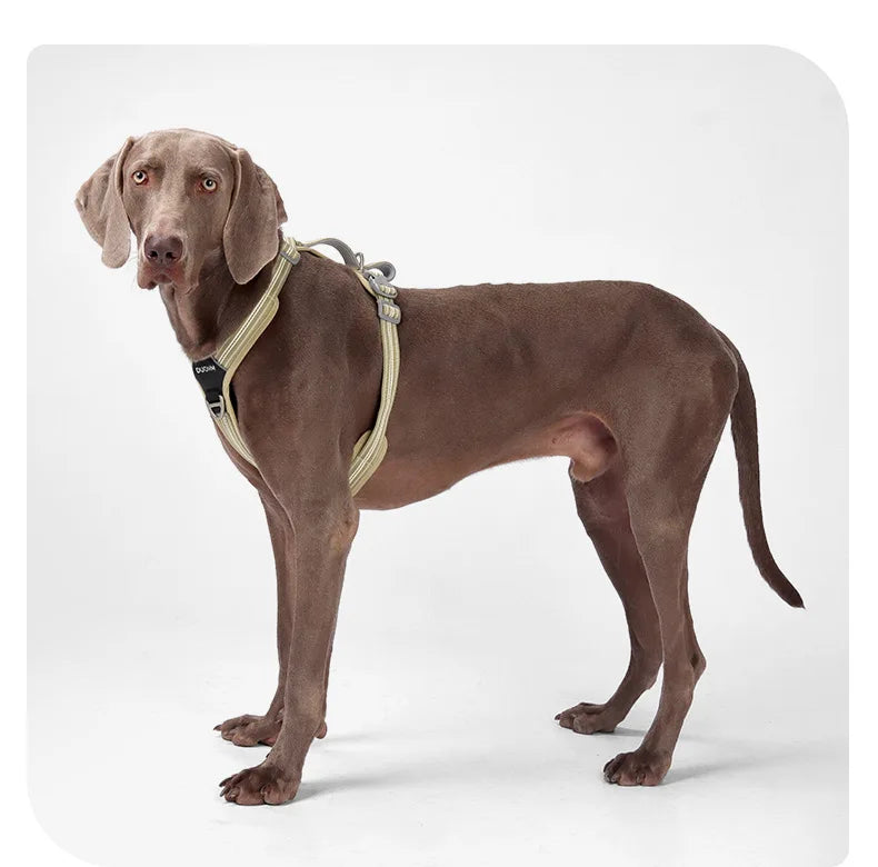 Car Safety Dog Harness: No-Pull, Reflective & Adjustable