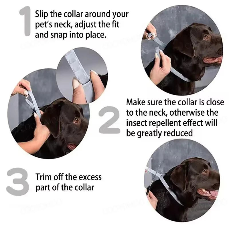 Adjustable Pet Collar for Dogs & Cats: 38cm and 72cm Sizes