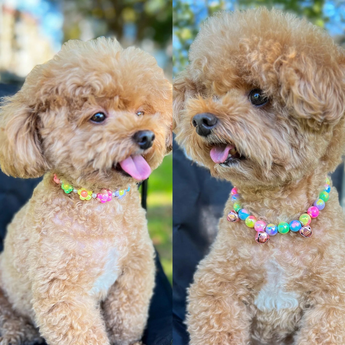 Cute Candy-Colored Pet Collar: Pearl Necklace with Flower Beads & Alloy Chain