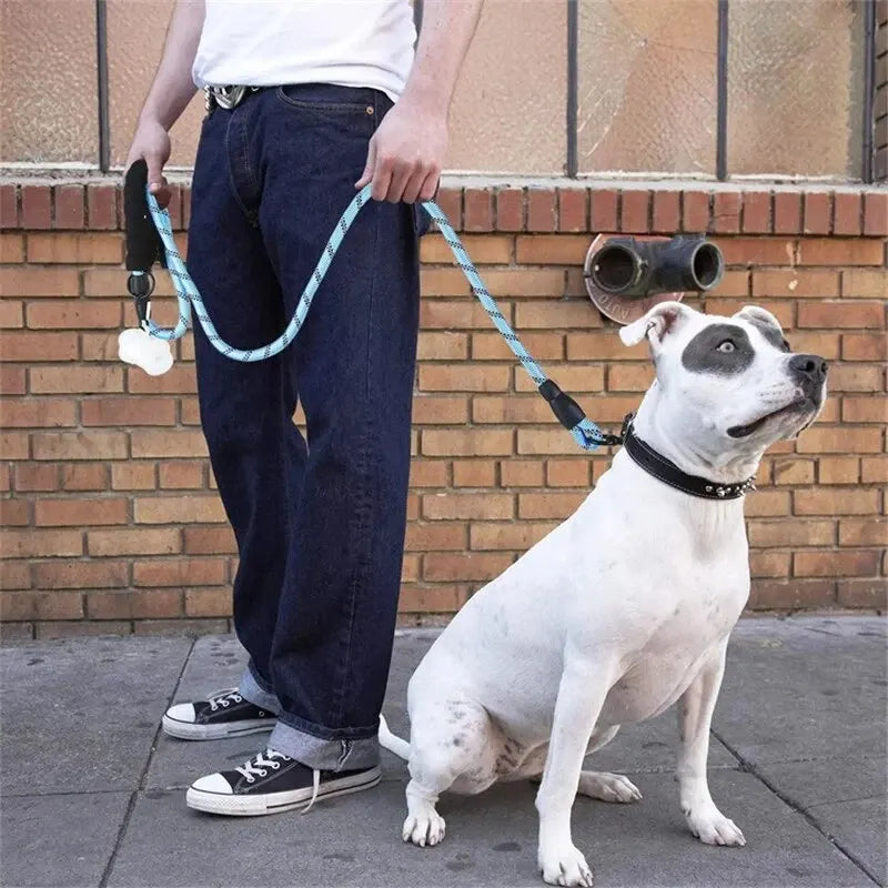 Double Handle Reflective Dog Leash - Heavy Duty Padded Lead for Strong Dogs