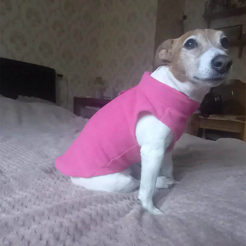 Winter Fleece Dog Jacket with Harness D-Ring - Warm Step-In Vest for Small Dogs
