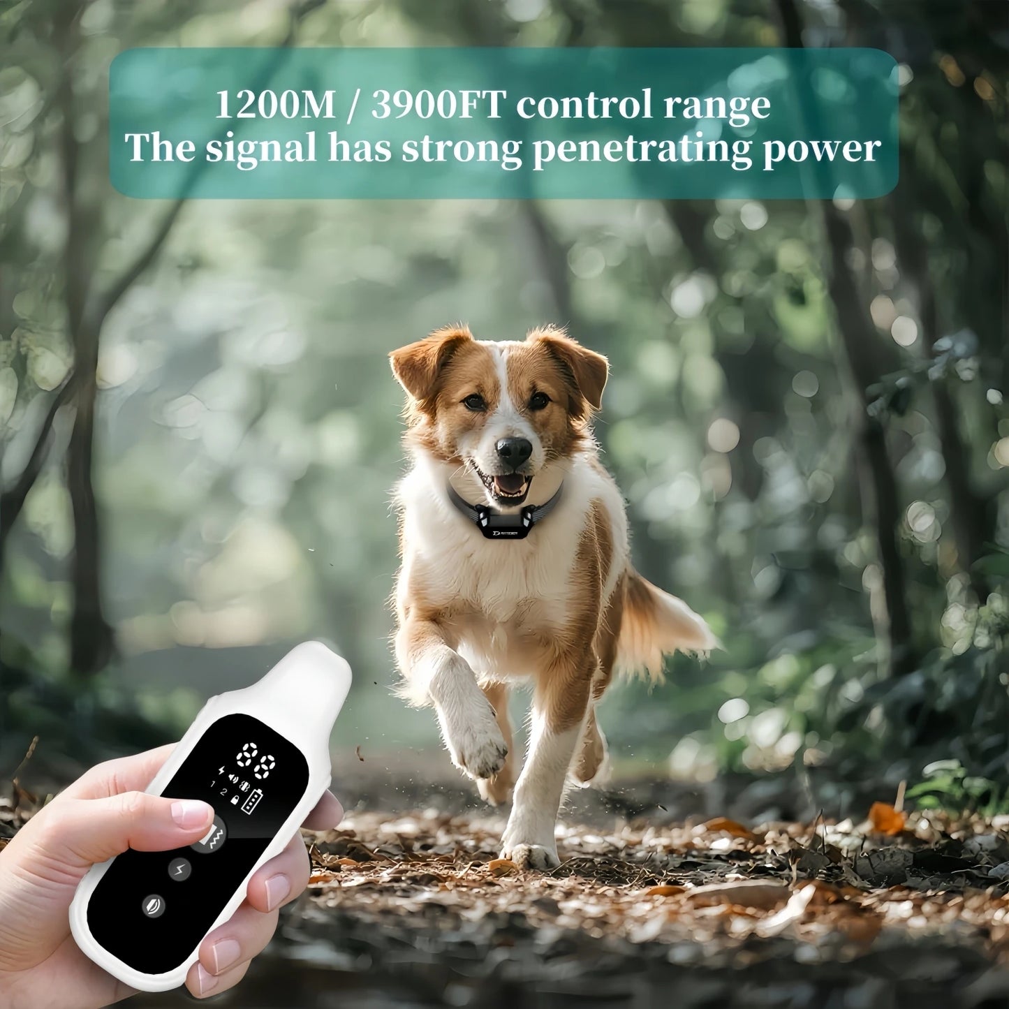 800M Dog Training Collar – Waterproof Rechargeable Remote Trainer with LCD Display