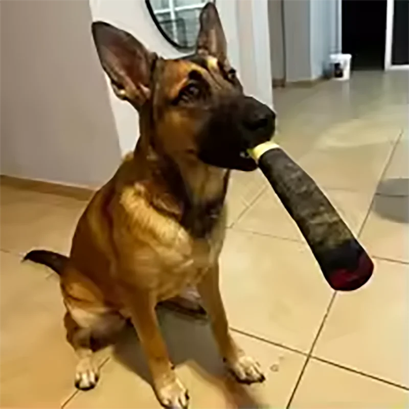 Funny Cigar Plush Dog Toy - Interactive Squeaky Birthday Gift