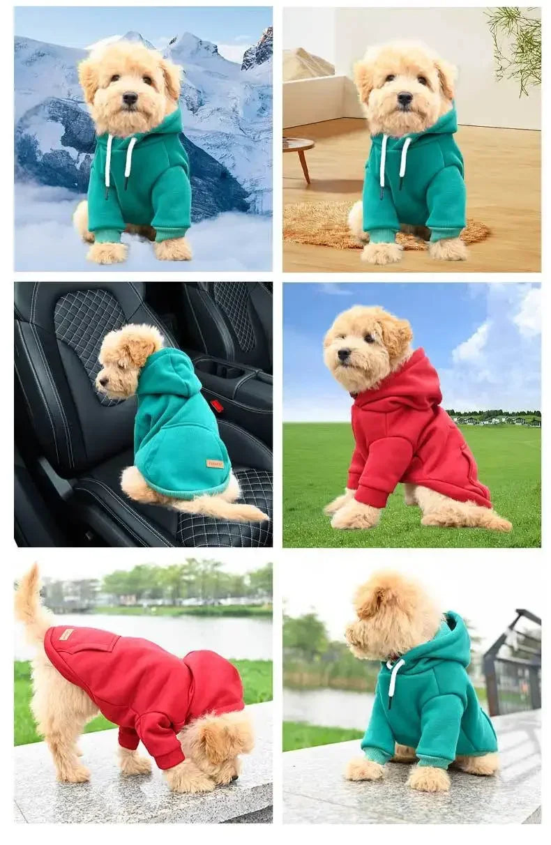 Warm Fleece Outdoor Dog Hoodie - Cozy Sweatshirt Vest for Bulldogs & Huskies