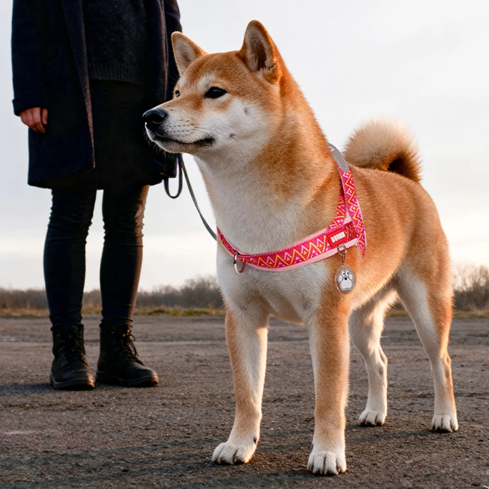 Fashion Printed Dog Harness: Soft No-Pull Padded Saddle Vest