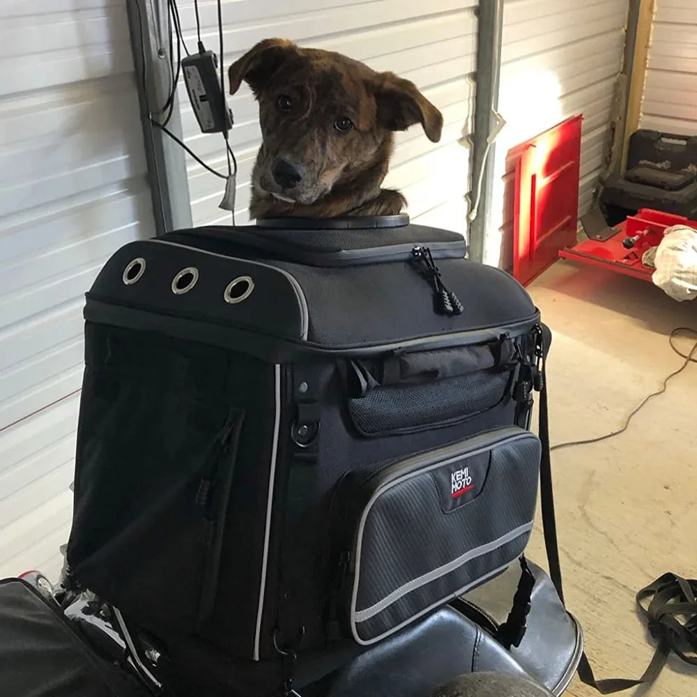 Motorcycle Pet Carrier Bag – Dog & Cat Carrier for Harley Touring, Street Glide, Road King & Trike Models
