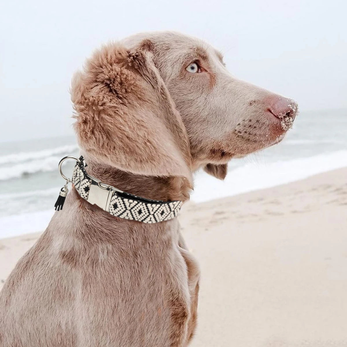 Bohemian Ethnic Style Pet Collar: Luxurious Adjustable Multi-Color Neckband