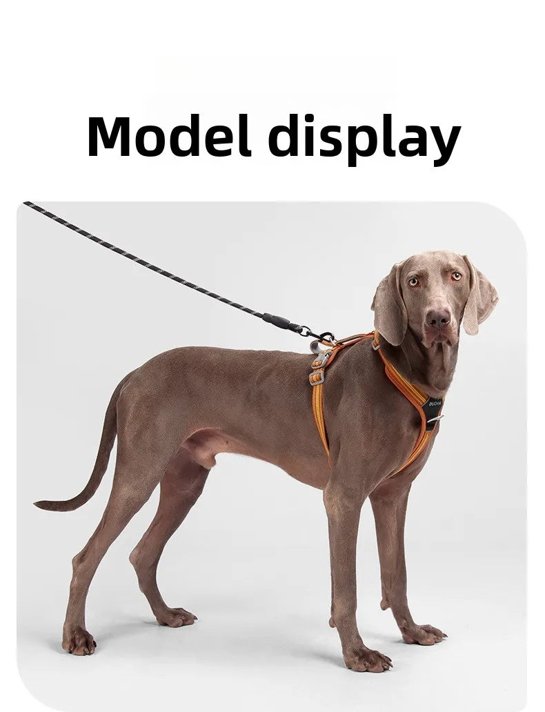 Car Safety Dog Harness: No-Pull, Reflective & Adjustable